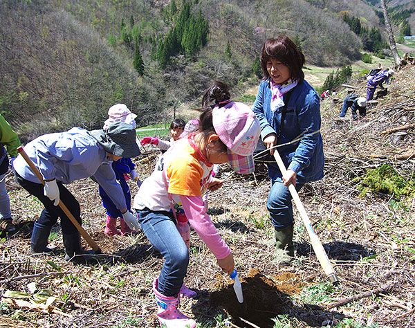 植樹活動