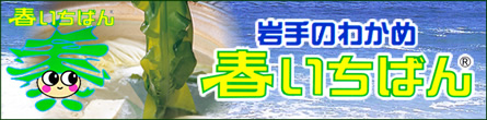 �դ����Ф�