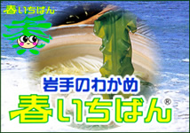 ���Τ狼�ᡡ�դ����Ф�