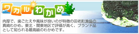 �參��狼��