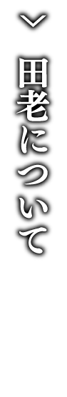 田老町について