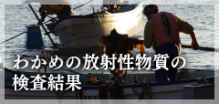 わかめの放射性物質の検査結果